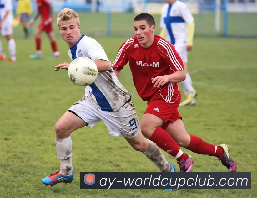 世界杯APP下载平台生态图