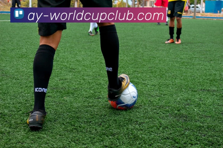 世界杯APP下载APP 封面图